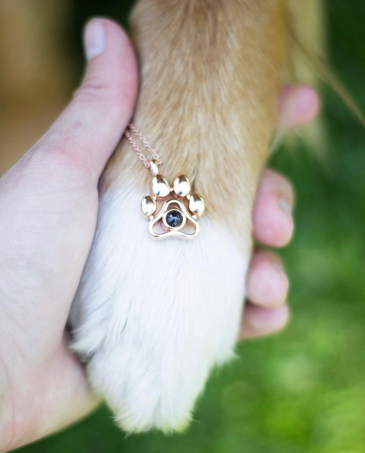 写真入り肉球ペンダント🐾