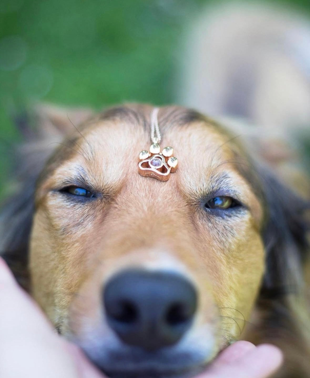 写真入り肉球ペンダント🐾