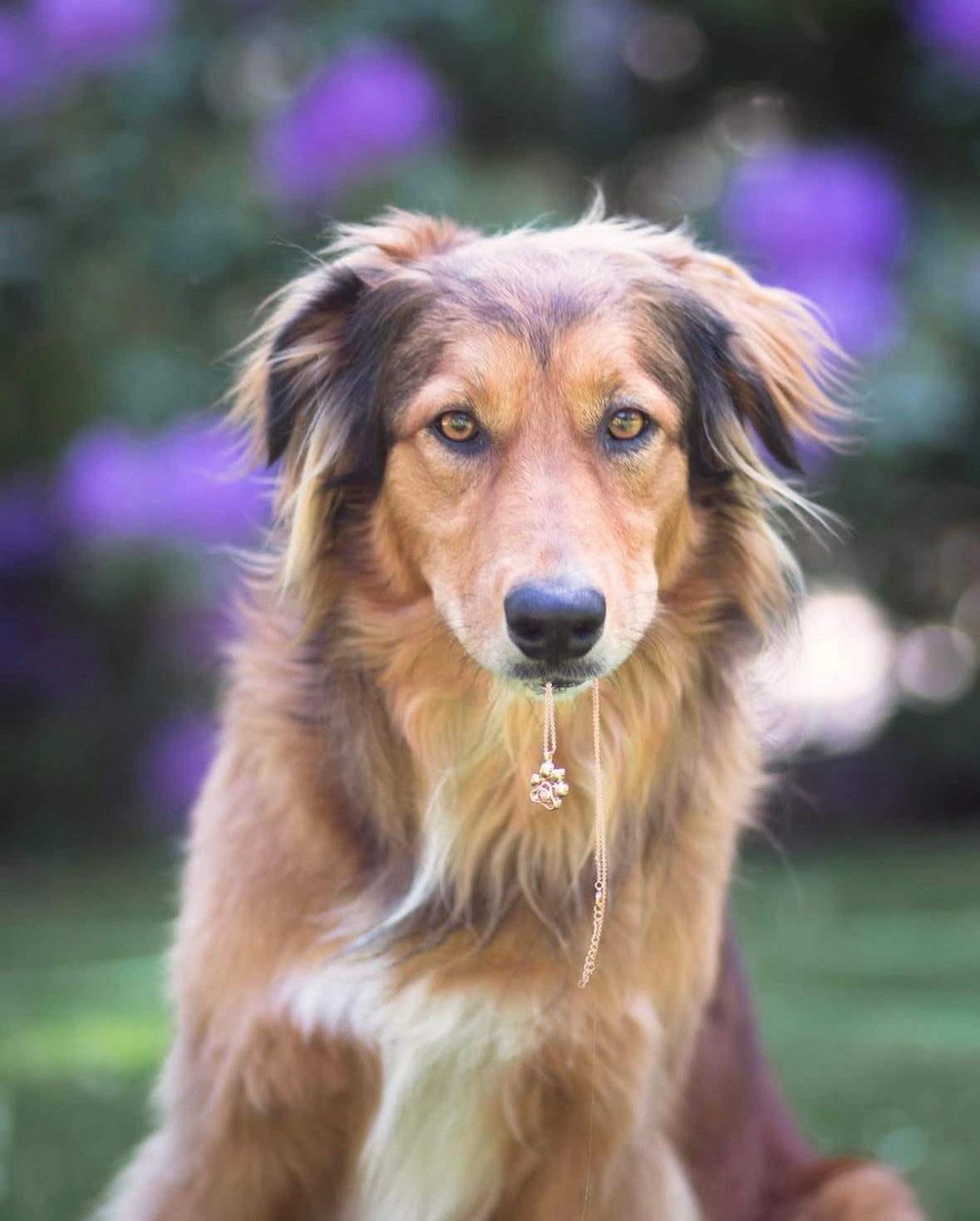 写真入り肉球ペンダント🐾
