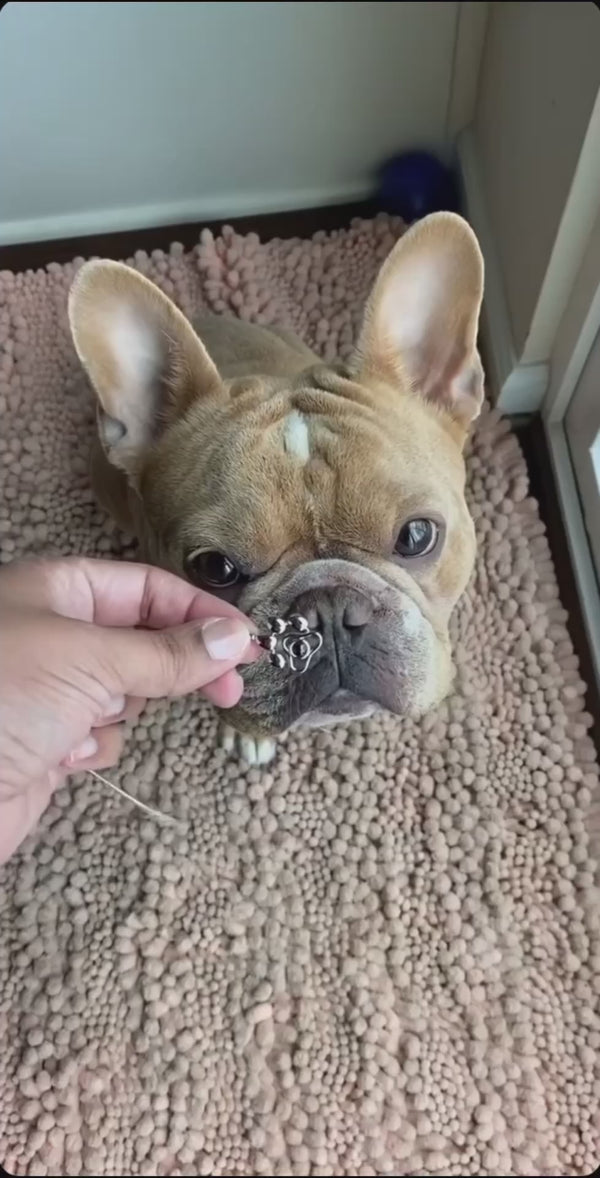 写真入り肉球ペンダント🐾